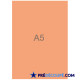 Blank A5 sheets - clementine